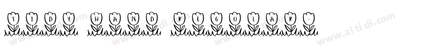 Tidy Hand Regular字体转换